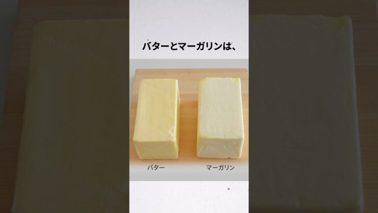 バターとマーガリンの違いは...？  #雑学 #shorts