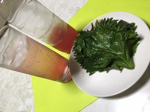 青じそジュース　夏バテ防止　おいしいですよ　青じそ　紫蘇　老化防止　飲み物　青しそジュースのつくり方