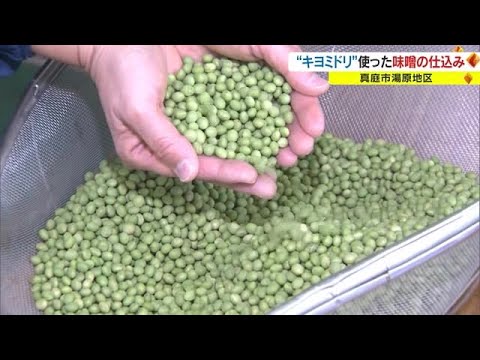 全国でも希少な“緑のダイヤ” 　湯原産の青大豆「キヨミドリ」を使った味噌の仕込み始まる【岡山】 (23/01/16 18:00)
