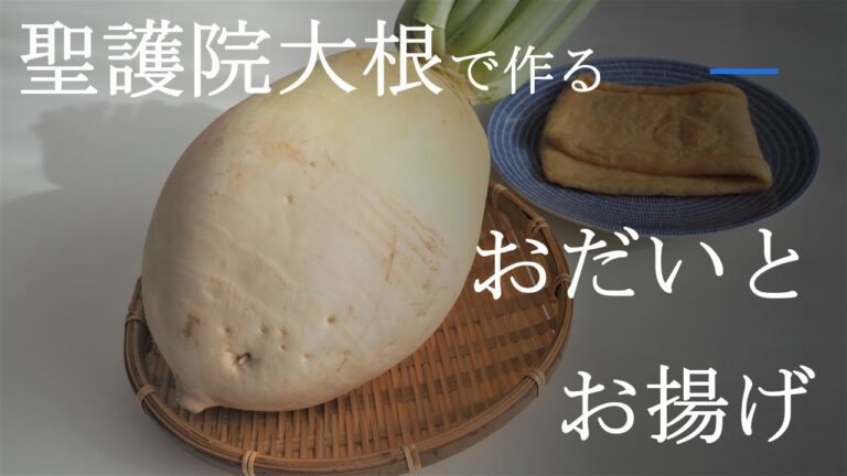 【大村しげのおばんざい】おだいとお揚げ /Round white radish and Fried Tofu.
