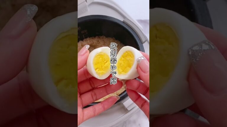 【大人気シリーズ】ダイエット弁当（第1弾）炊飯器に全突っ込みスタイル