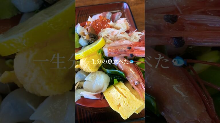 一生分食べれる海鮮丼　#佐渡島 #海鮮丼 #魚　#満腹