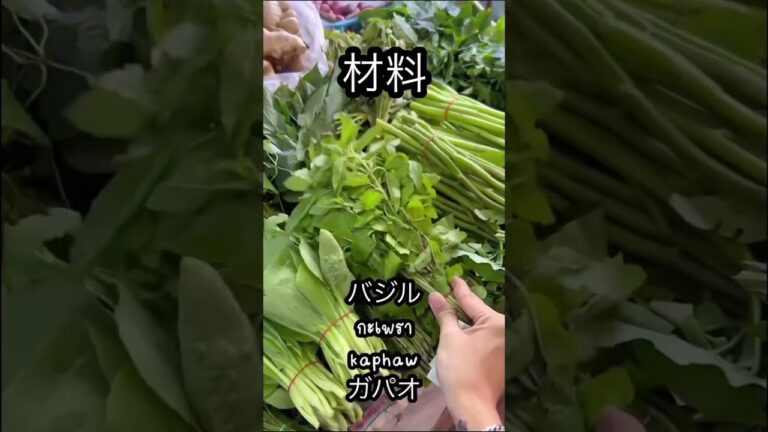 ガパオ作りは簡単！！！ #タイ語 #タイ料理　#ガパオライス