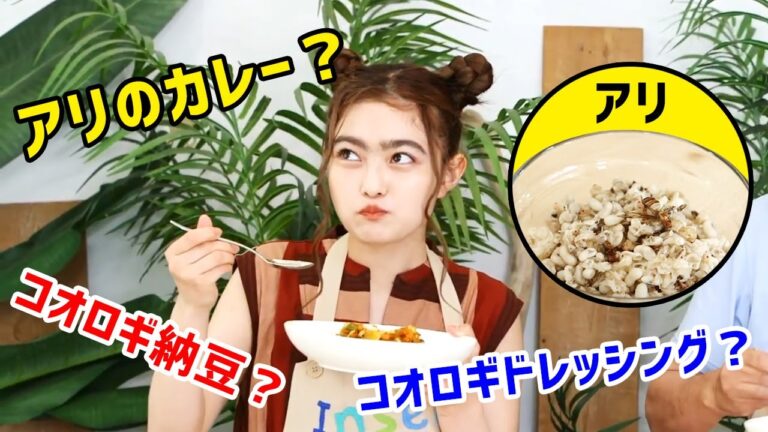 やみつきスパイシーキーマカレー！アリさんの卵deプチプチ食感|昆虫食