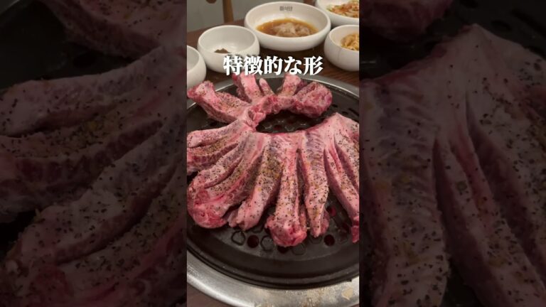 🔻新大久保で1番アツイ韓国焼肉🔻#グルメ #東京グルメ #東京ディナー #新大久保 #新大久保グルメ #新大久保ディナー #焼肉 #東京焼肉 #韓国料理 #yakiniku