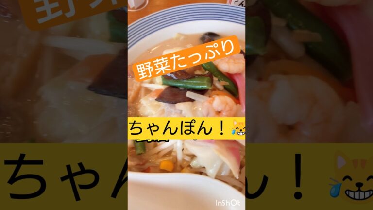 リンガーハットの野菜たっぷりちゃんぽん麺少なめ😹#長崎ちゃんぽんリンガーハット