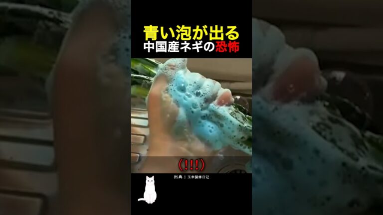 青い泡が出る中国産ネギの恐怖