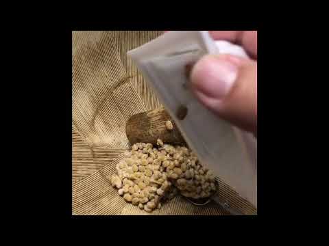 秘伝 納豆汁の作り方