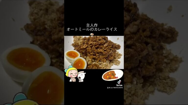 主人作オートミールキーマカレーMasterpiece Oatmeal Keema Curry