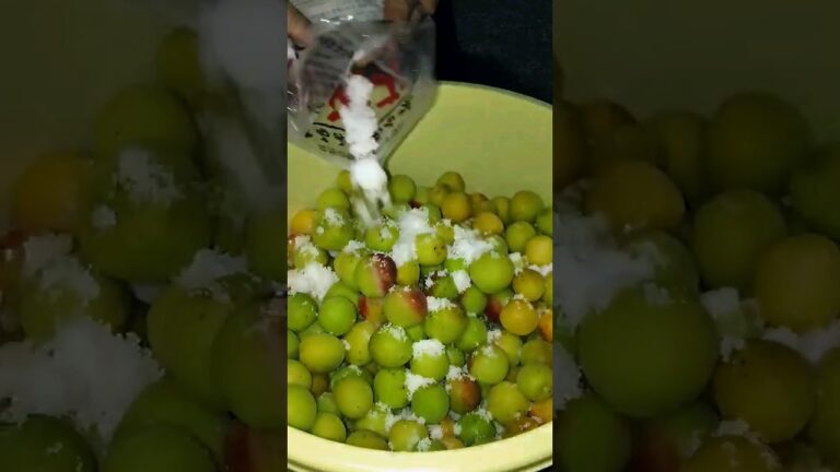 【梅仕事】10kgの梅を梅干しにする様子 #shorts