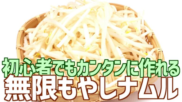 初心者でもカンタンに作れる 無限もやしナムル