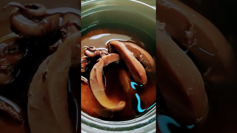 ８８円のイカの缶詰で炊き込みご飯を作る。