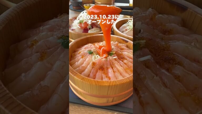 【福岡グルメ】糸島の新スポット！絶景海鮮丼 #福岡グルメ #shorts