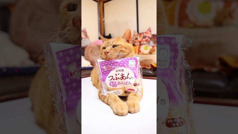 井村屋つぶあんのもちっとあんぱん　230720