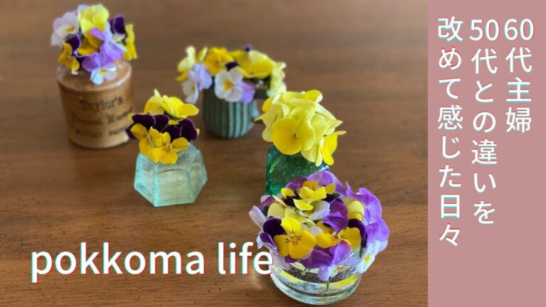 SUB【60代vlog】2度目の尿管結石で年齢を感じた日/お風呂掃除/０歳児も食べられる苺ケーキ/感謝のビオラ/二十四節気/シニアライフ/