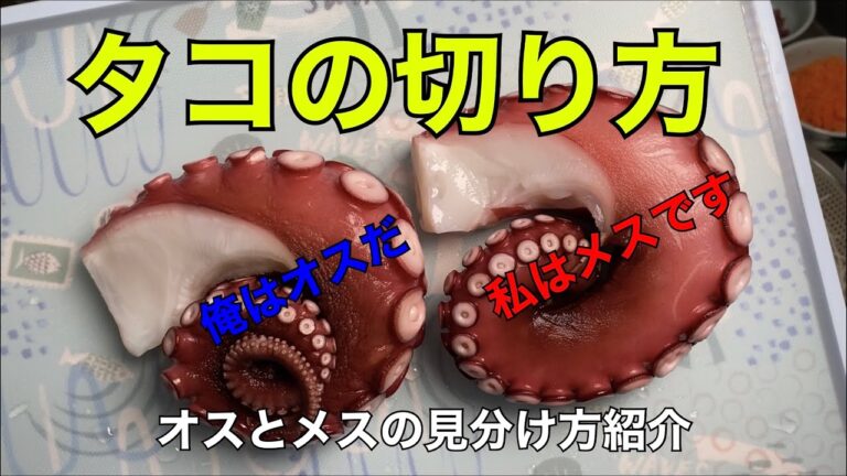 タコの切り方　夏の半夏生、カルパッチョなど、お刺身やサラダに食べやすい切り方教えます。