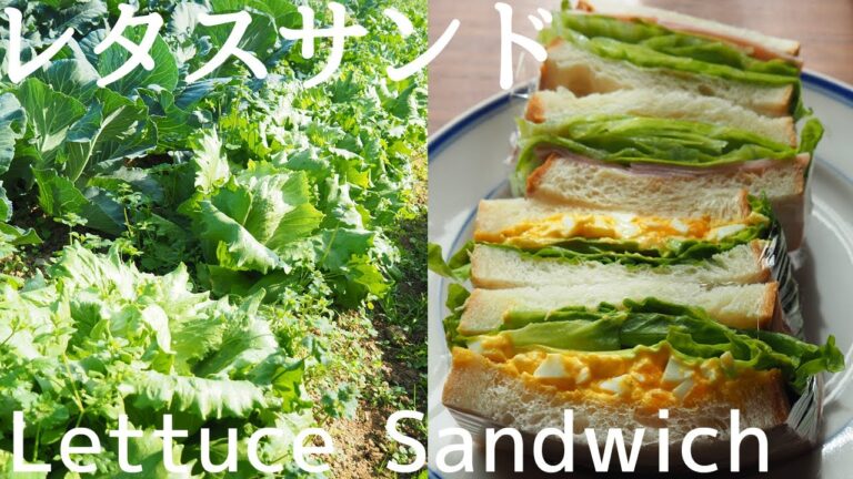 レタスサンドつくってみた