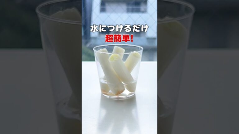 白ネギが無限に！？白ネギ再生栽培！#shorts