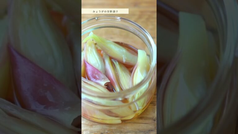 『みょうがの甘酢漬け』 #shorts #料理 #cooking #手仕事 #夏 #みょうが