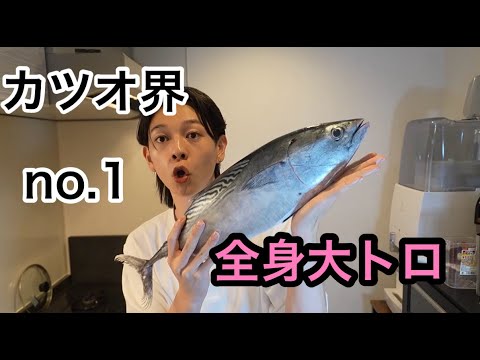 【脂だらけ】全身大トロのカツオがマグロだった件について。