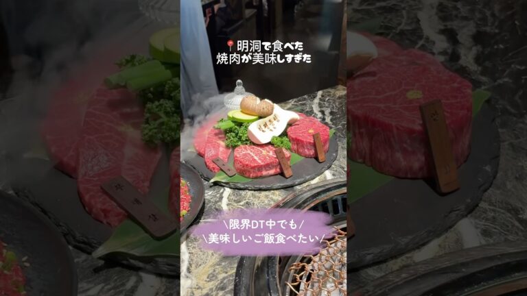 【韓国グルメ】明洞の焼肉屋さんが美味しすぎた〜𓌉𓇋 ‎🥩 #韓国旅行 #韓国グルメ #food #koreanfood #明洞 #明洞グルメ #韓牛 #焼肉
