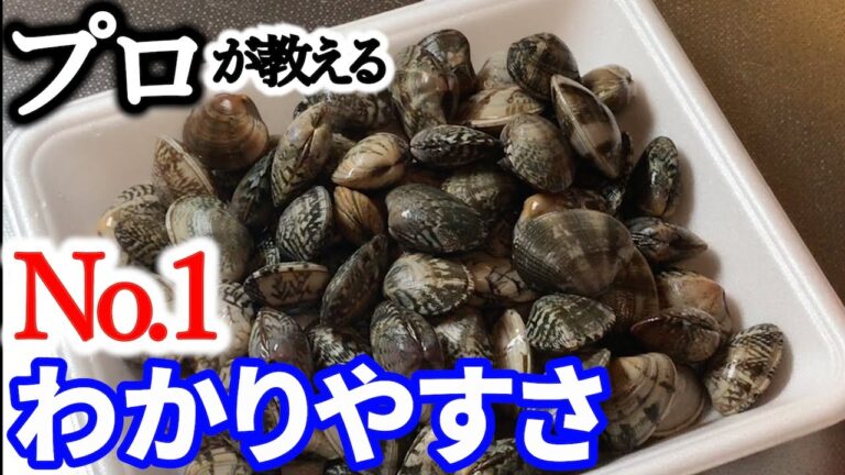 【一番わかりやすい】あさりの砂抜きのやり方　コックがシンプルに解説