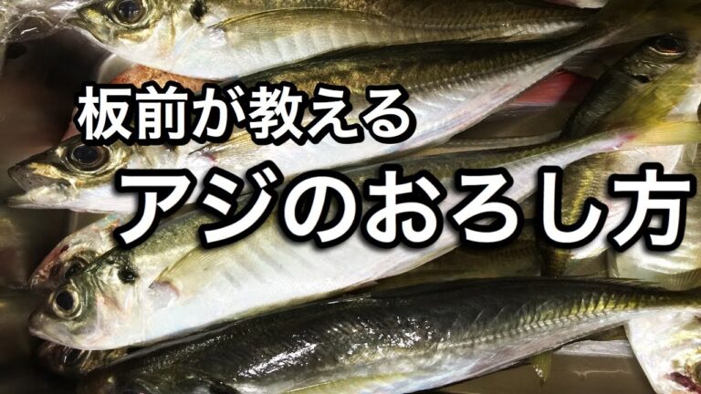 【プロ直伝】 板前が日本一詳しく解説！アジのおろし方　鯵のさばき方を詳しく説明しています！魚のおろし方の基本　これであなたも魚がさばけるようになります！