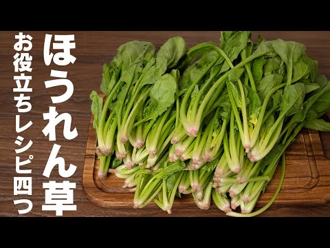 ほうれん草があればもう何もいらない！という境地に至るレシピ４つ【 料理レシピ 】