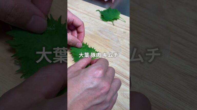 豚キムチヘルシー餃子 / 180日後に7kg痩せる管理栄養士