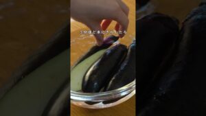 なすのしょうがステーキ　#なすレシピ #夏野菜 #さっぱり