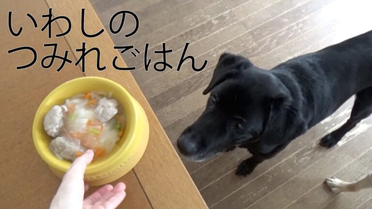犬の手作りごはん | イワシのつみれご飯