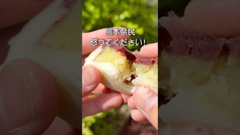 【熊本行ったらこれを食え！！】熊本のお土産紹介#和菓子 #グルメ #お土産 #銘菓 #熊本 #いきなり団子