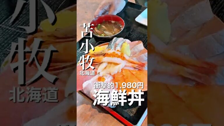 衝撃的1,980円海鮮丼 苫小牧が熱い😃#北海道グルメ #苫小牧グルメ #海鮮丼 #グルメ ####