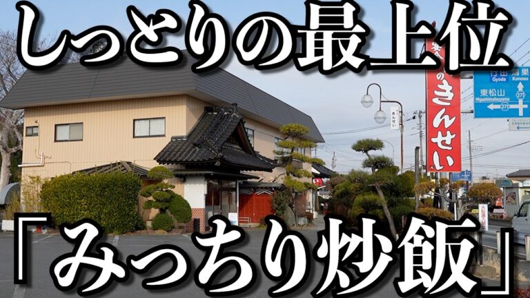 【爆盛】パラパラとは無縁の重厚系みっちりチャーハンとジャンボ餃子