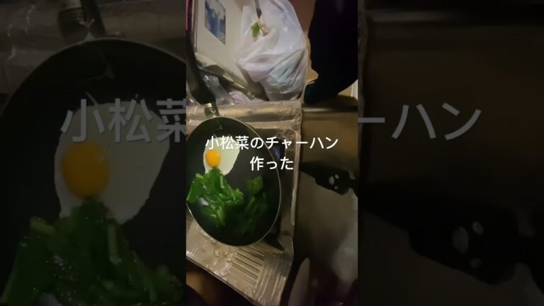 誰得小松菜チャーハンチャーハン日記13日目小松菜のチャーハン動画#炒飯 #料理 #チャーハン #炒飯レシピ #小松菜レシピ #貧乏 #cooking #卵料理 #卵#貧乏飯 #業務スーパー#飯テロ