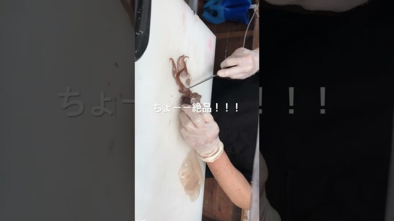 北海道でイカ食べた！#北海道 #イカちゃん #刺身