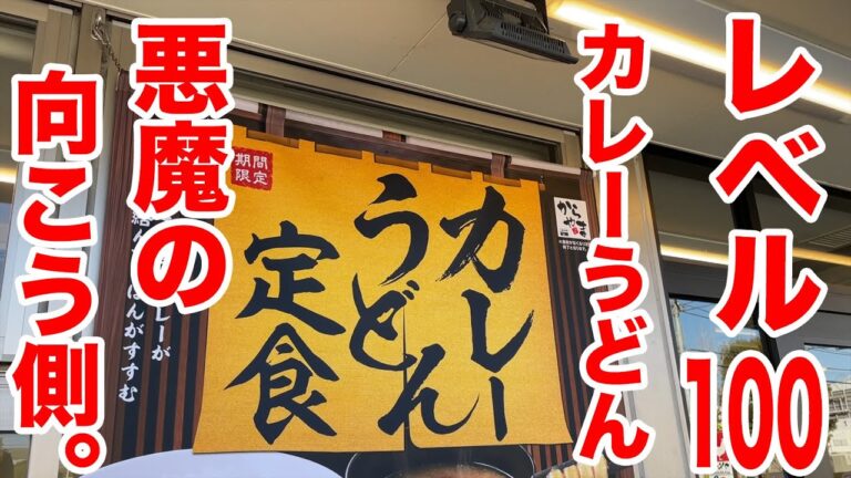 レベル100のカレーうどん定食が悪魔の向こう側すぎ！！