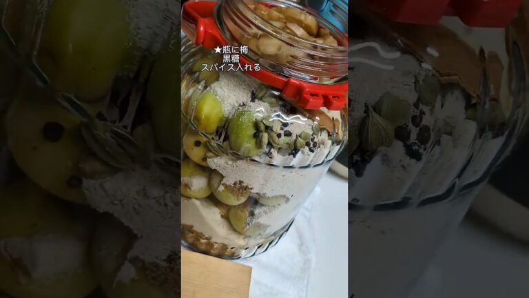 【薬膳梅コーラ】少し詳しく。手作りジンジャーエールが美味しかったので梅コーラも材料同じなので作りました。#shorts#梅コーラ#薬膳梅コーラ