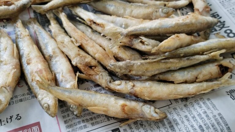 【３分で分かる】【マリネ】旬の新たまねぎとワカサギを使ったさっぱりマリネの作り方