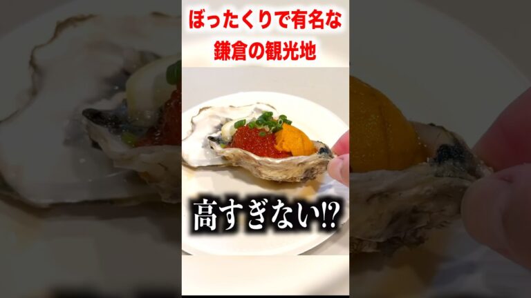 ぼったくりで有名な鎌倉の観光地で怪しい海鮮丼をを注文してみたら。。。#shorts #イケメン #イケオジ #イケボ #飯テロ