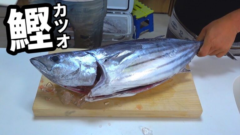 凄まじい量の脂がのったカツオのたたきが美味かった！！