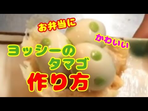お弁当に☆簡単かわいい飾り！便利なヨッシーのタマゴの作り方・レシピ！