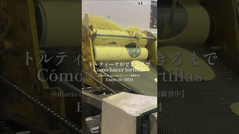 トルティーヤができるまで / Cómo hacer tortillas 🇲🇽