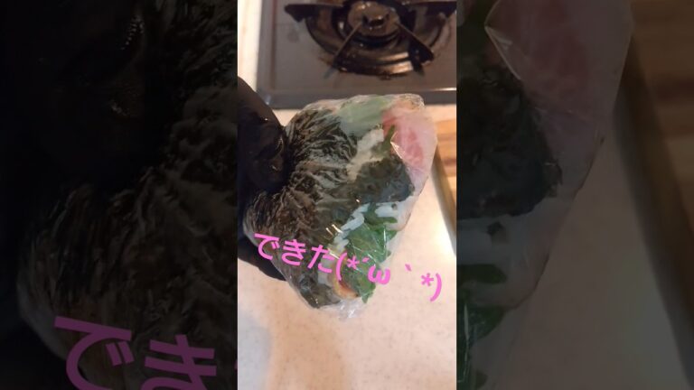 沖縄おにぎり【握ってません】16日目#沖縄 #沖縄料理 #おにぎり #おにぎらず