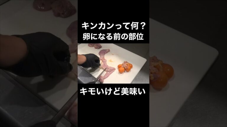 卵になる前の部位が美味すぎた#shorts #焼き鳥