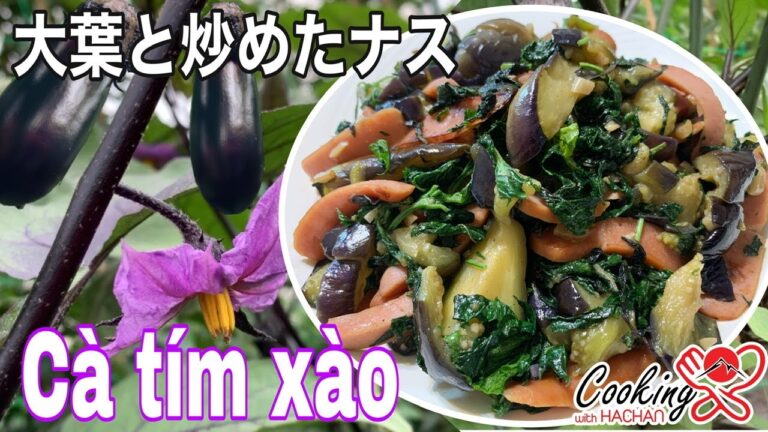 【なすレシピ】大葉と炒めたナスの作り方|MÓN NGON MỖI NGÀY| THU HOẠCH RAU VƯỜN LÀM MÓN CÀ TÍM XÀO@COOKINGWITHHACHAN