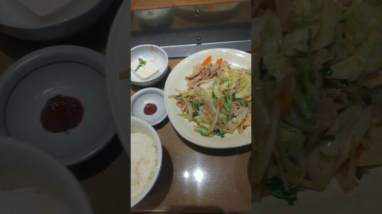 肉野菜炒め定食【やよい軒】が美味い！