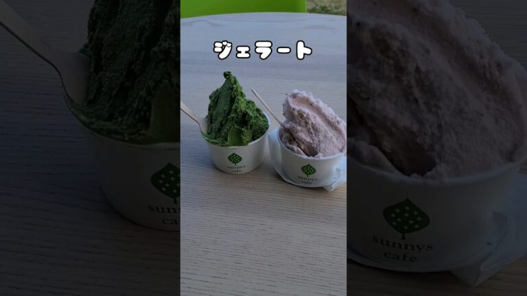 sunnys cafe(岩手県盛岡市)　ジェラート