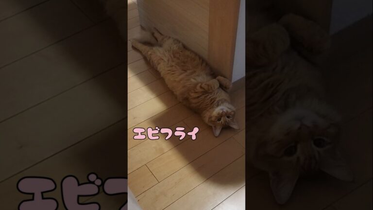 タルタルソースを添えて。#shorts