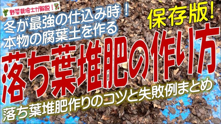 農家が教える落ち葉堆肥の作り方（冬が最強の仕込み時）腐葉土作りのコツを完全解説！